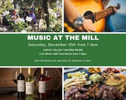music-at-the-mill-dec-2018-500x400