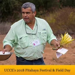 Pitayhaya-festival-banner