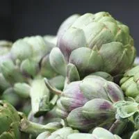 Vegetables and Fruit