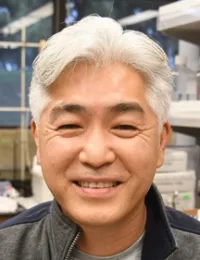 Sung Hee Hwang of the Hammock lab developed the compound for the study. (Photo by Kathy Keatley Garvey)