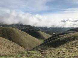 Beautiful oak woodland landscape at Hopland Research and Extension Center