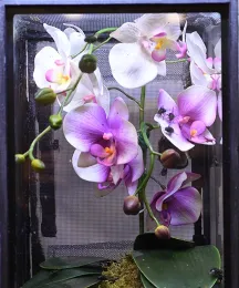 Something exotic in here? No, just blowflies. (Photo by Kathy Keatley Garvey)