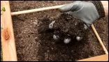 Compost