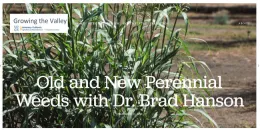 Growing the Valley podcast-Hanson