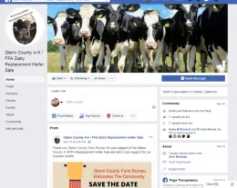 Dairy Replacement Heifer Project Facebook Page Image