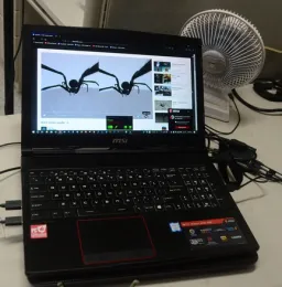 Spiders on Geoffrey Attardo's computer screen at the recent Bohart Museum of Entomology open house. (Photo by Kathy Keatley Garvey)