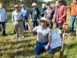 2018 irrigated pasture