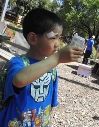 Andy Xu examines a bee he caught in a catch-and-release activity in the Häagen-Dazs Honey Bee Haven. (Photo by Kathy Keatley Garvey)