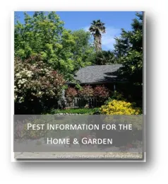 Gardening & Landscape