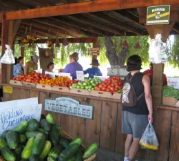 Woman holding shopping bag in front of farm stand with an assortment of produce