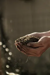 A pair of hands holding a handful of rich, healthy-looking soil