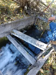 IMG_20181016_114243684