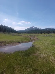 IMG_20190506_113250622