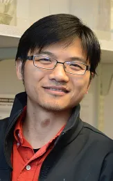 Researcher Jun Yang of Hammock lab (Photo by Kathy Keatley Garvey)