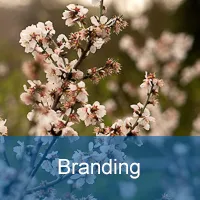 Branding Resources