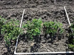 % cover May 29, 2019.