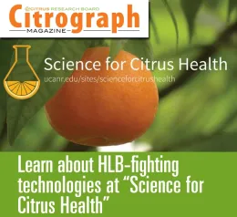 Images of orange for Citrograph article http://www.citrusresearch.org/uncategorized/citrograph-summer-2019/#more-8369