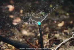 Microsprinkler