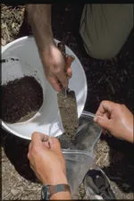 Fuente: UCANR CD 6007; Publication 3420, Figure 2.5