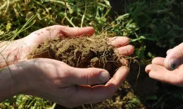 SOM soil soil organic matter