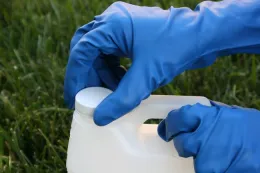 Chemical resistant gloves.<br>(Credit: CA Reynolds)