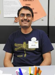 Entomologist Syed Fahad Shah is doing six-month research at the Bohart Museum of Entomology on agriculturally important pests. (Photo by Kathy Keatley Garvey)