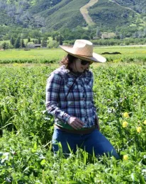 Sarah Light samples cover crop biomass in a reduced-disturbance field in Guinda.