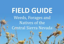 Free copies are available at any of our county offices. Or Click image for eBook.