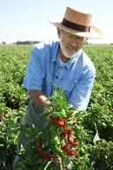 Man with hat in field holding peppers