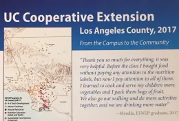 Pic of 2017 Impact Card