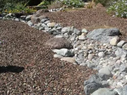 Dry creek bed by Cindy Weiner