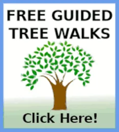 Tree Walks Logo