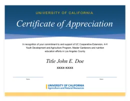 Example of Informal Certificate of Appreciation