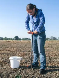 soil sampling