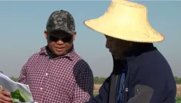 pesticide compliance