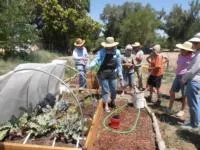 People standing around a raised garden bed watching a volunteer erect a winter cover over it.