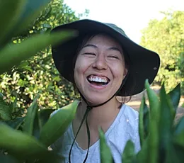 Hanna Kahl, shown here in the field, won a second-place award for her research on the European earwig damaging citrus fruit.