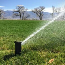 A pop-up sprinkler head shooting a stream of water to the right.
