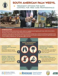 Treatment Options for SAPW Control for Tree Care Professionals