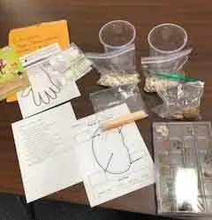 Seed Magic Activity by Karina Hathorn