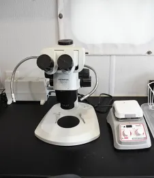 Lab equipment in the newly constructed USDA-ARS lab. (Photo by Kathy Keatley Garvey)