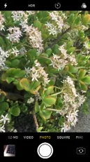 February blog final joannbrown (1)