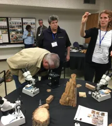 Beatriz Nobua-Behrmann, right, showed samples of invasive wood-boring beetles that are attacking hundreds of thousands of trees in Southern California, including commercial avocados and trees in urban and wild landscapes.