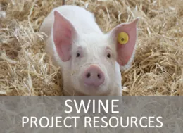 Swine Project Resources Website Page Link