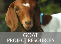 Goat Project Resources Website Page Link