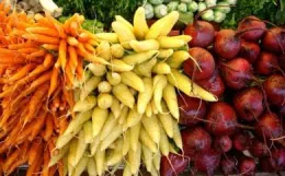 August – carrots and beets