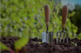 Gardening During a Pandemic