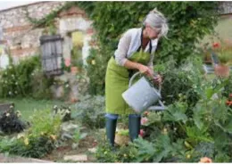 Health Benefits of Gardening (image)