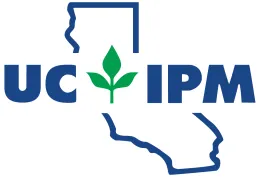 IPM Logo