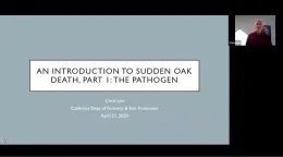 Sudden Oak Death (Part 1)